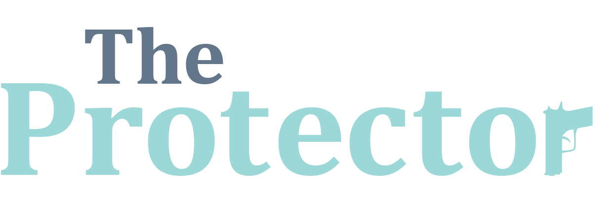 TheProtectorHero2